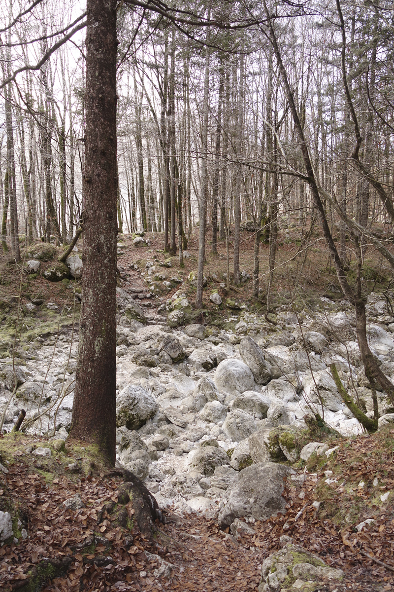 Mon voyage à Bohinj en Slovénie