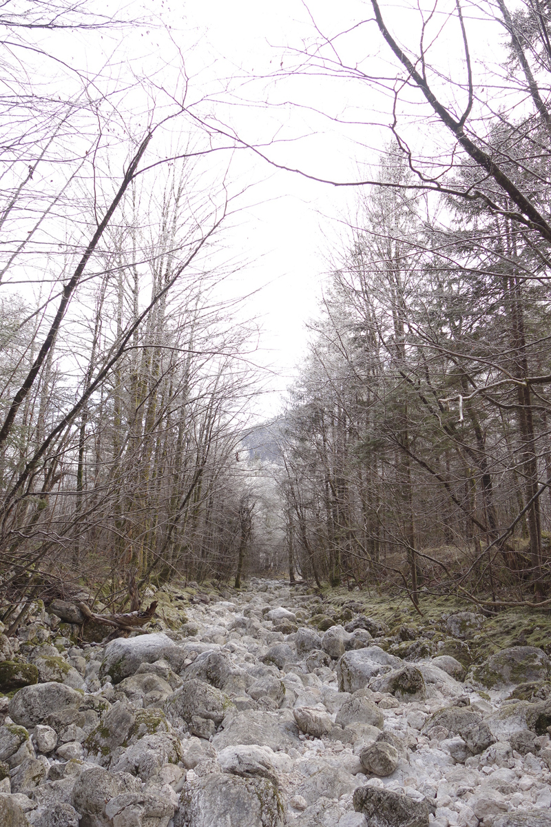 Mon voyage à Bohinj en Slovénie