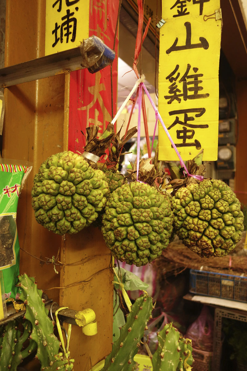 Voyage à Taipei à Taïwan Quartier Wanuha