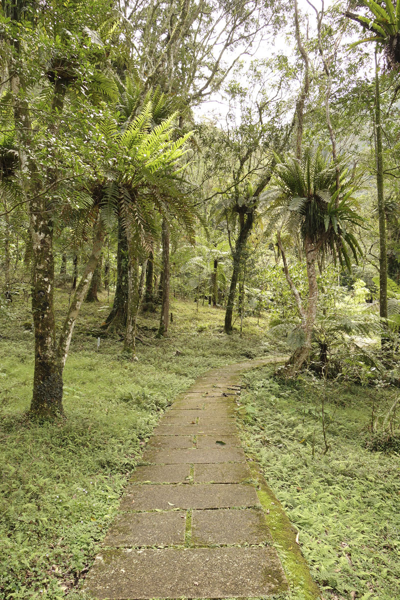 Mon voyage à Wulai à Taïwan