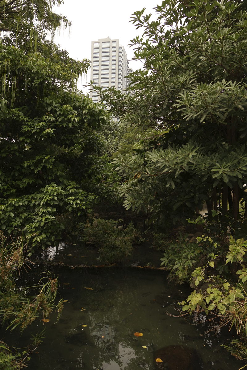 Mon voyage à la Coulée verte à Taichung à Taïwan Taïwan