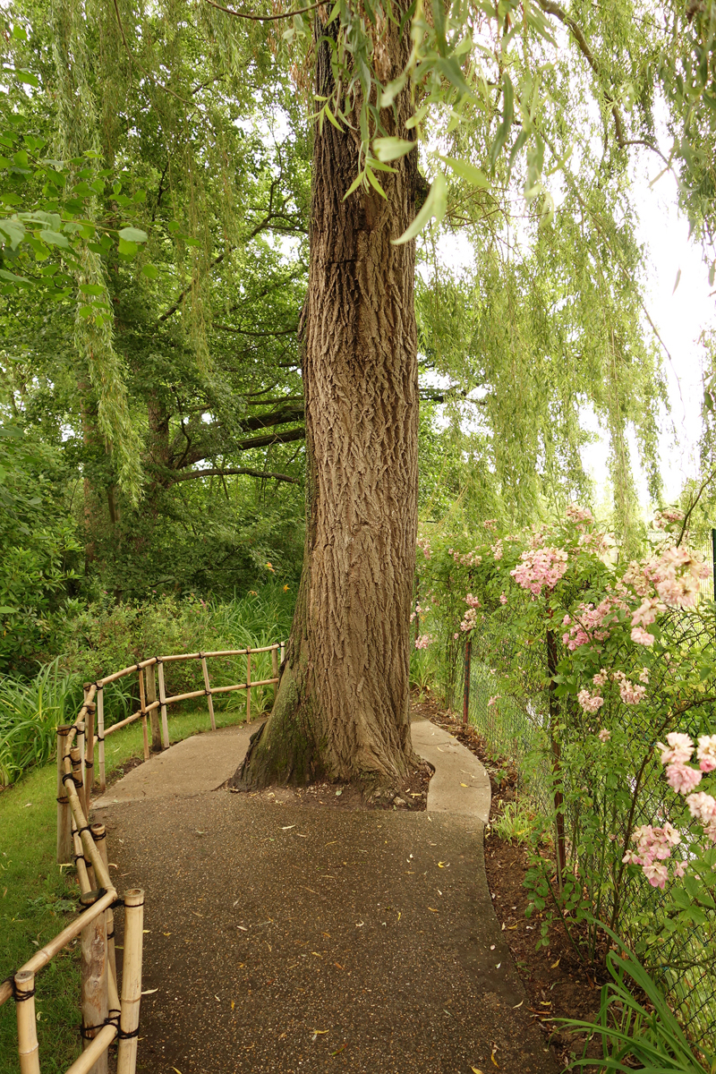 Mon voyage à la maison de Claude Monet à Giverny en France