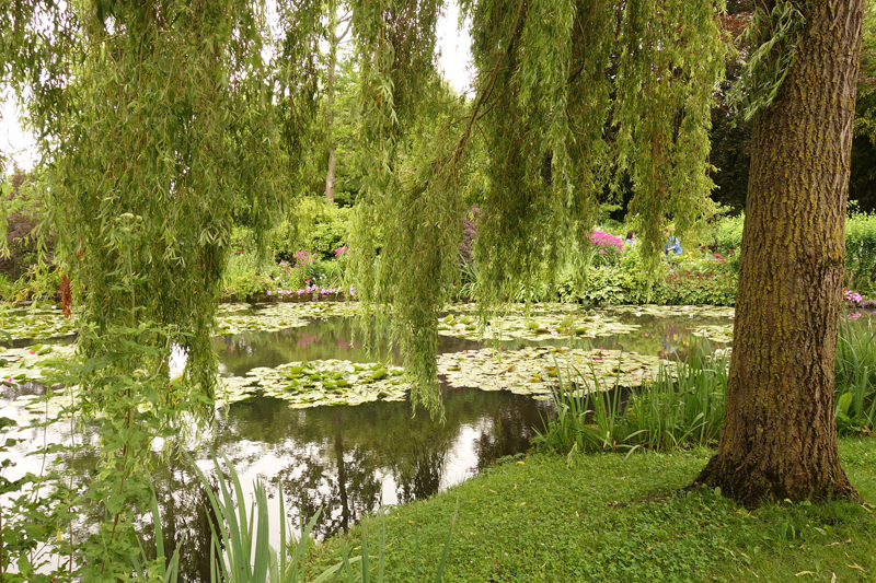 Mon voyage à la maison de Claude Monet à Giverny en France