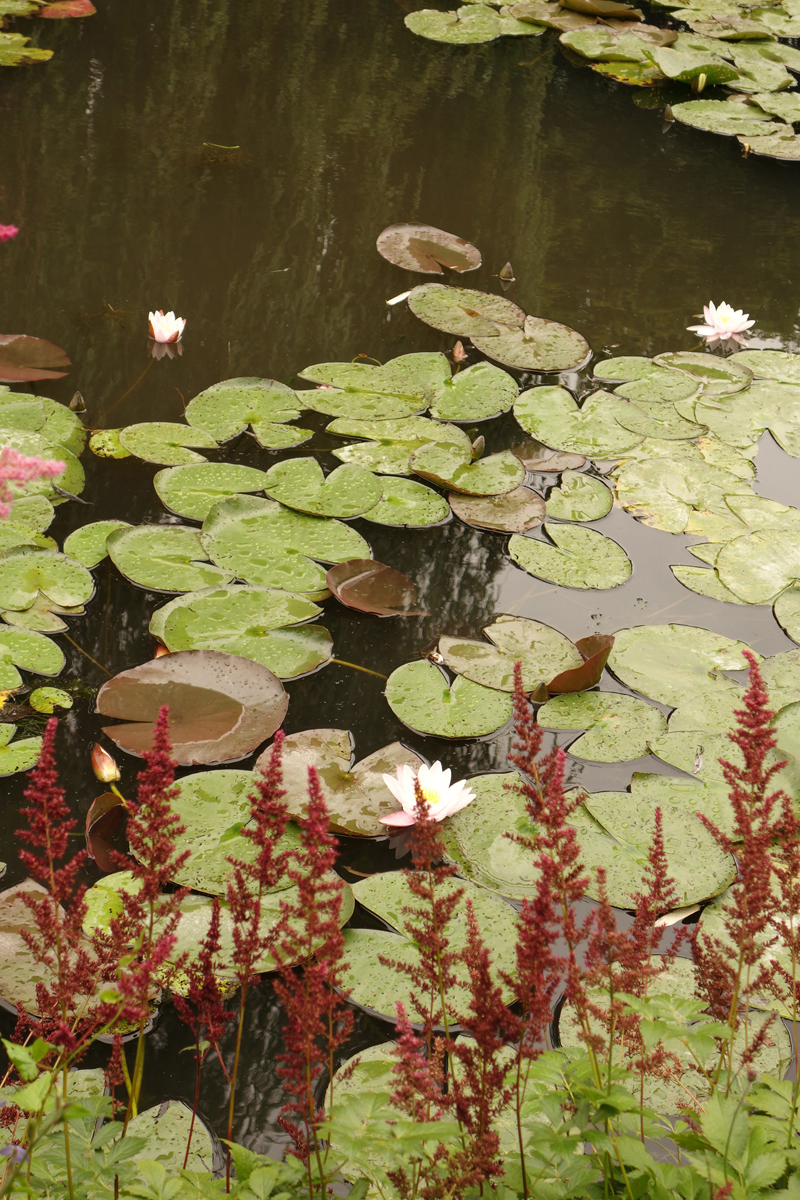 Mon voyage à la maison de Claude Monet à Giverny en France