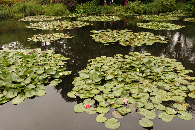 Mon voyage à la maison de Claude Monet à Giverny en France