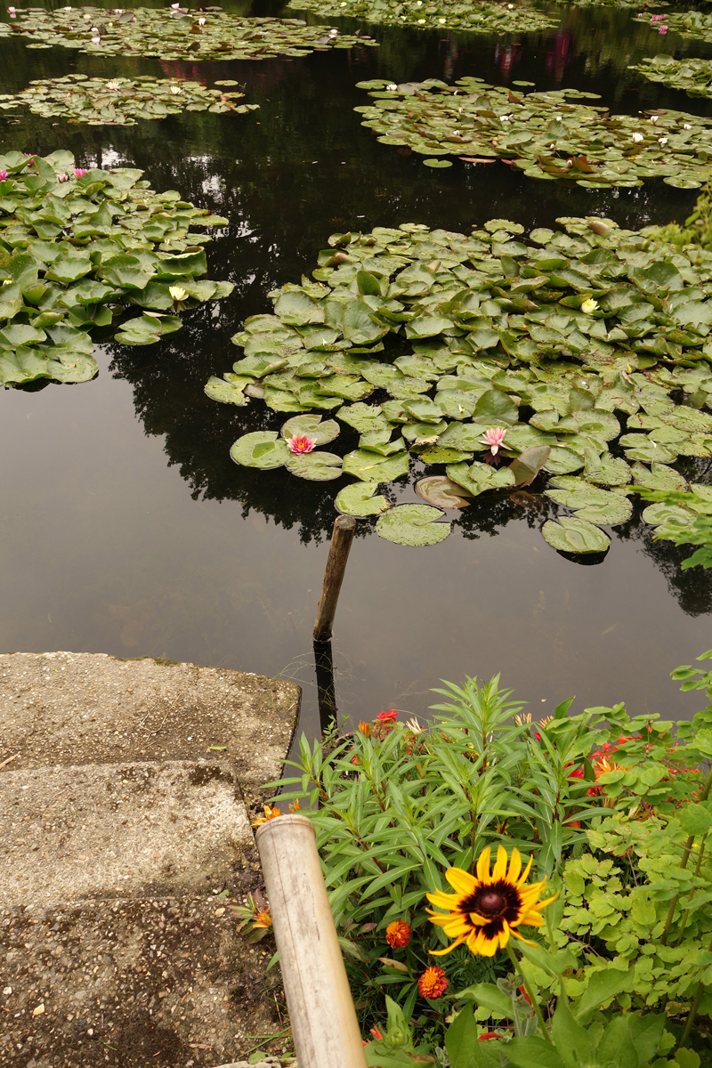 Mon voyage à la maison de Claude Monet à Giverny en France