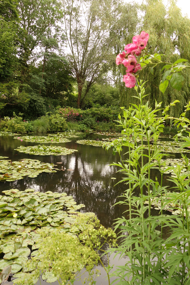 Mon voyage à la maison de Claude Monet à Giverny en France