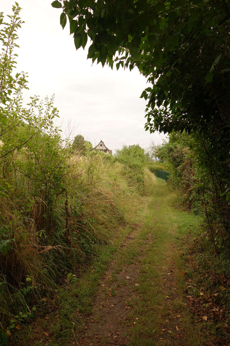 Mon voyage à Giverny en France