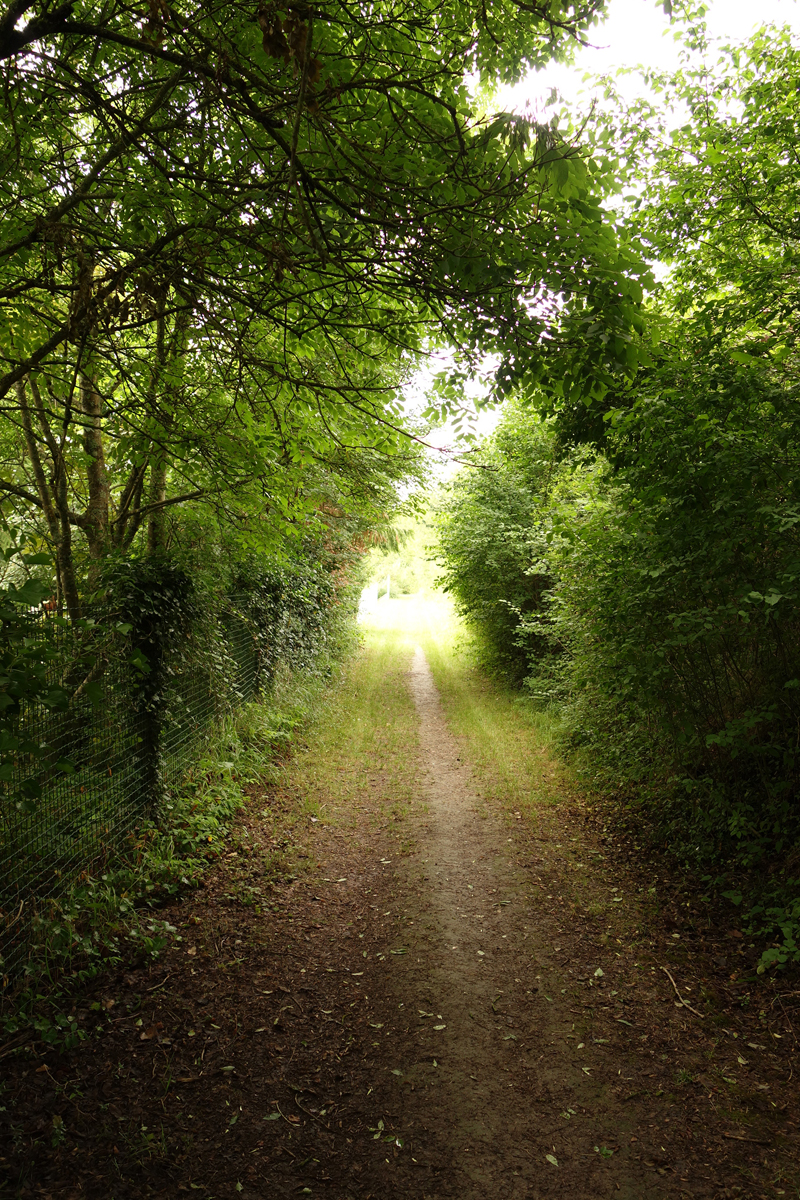 Mon voyage à Giverny en France