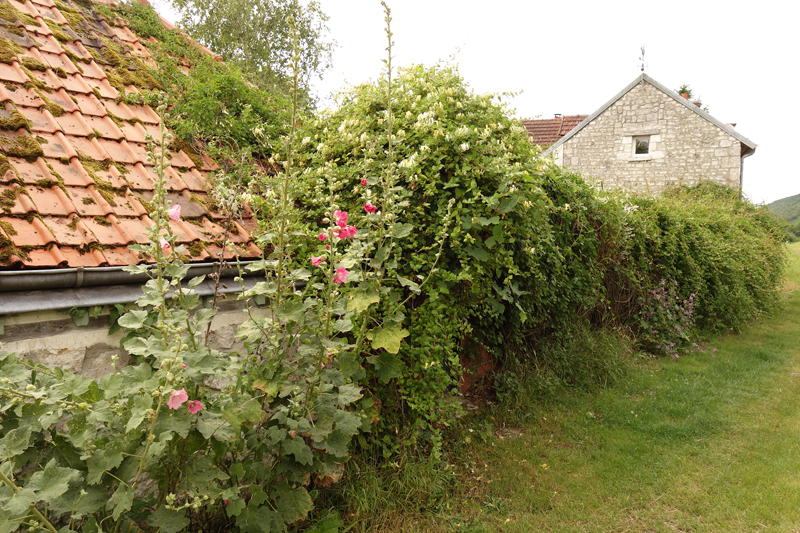 Mon voyage à Giverny en France