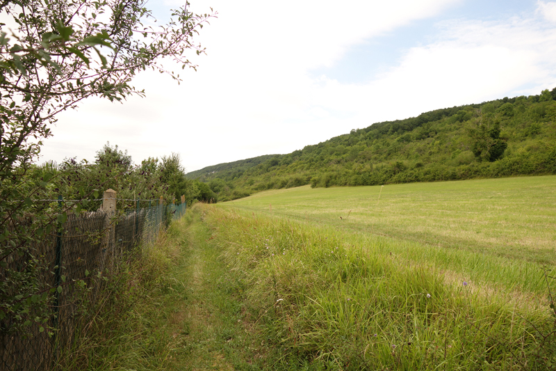 Mon voyage à Giverny en France