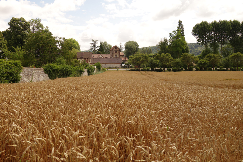 Mon voyage à Giverny en France