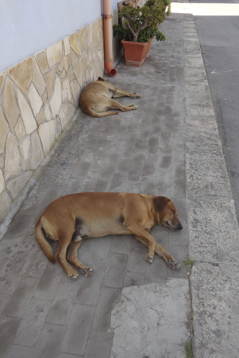 Mon voyage à Marzamemi en Sicile