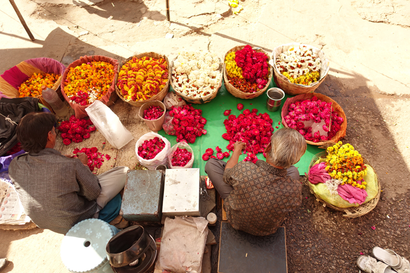 Mon voyage à Jaipur en Inde