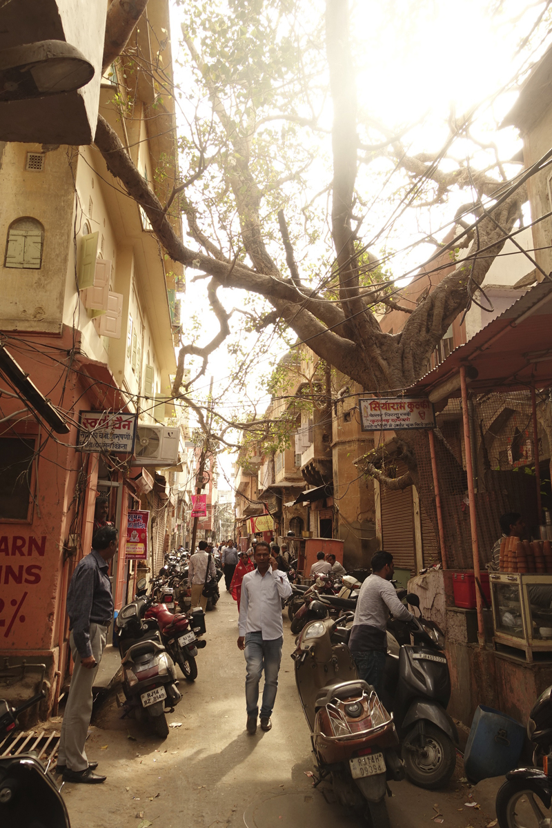 Mon voyage à Jaipur en Inde