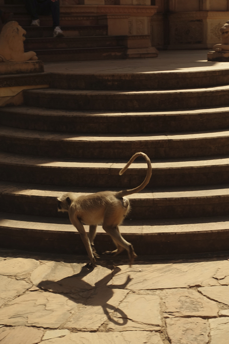Mon voyage à Jaipur en Inde Cénotaphes de Gaitor Royal Gaitor Tumbas