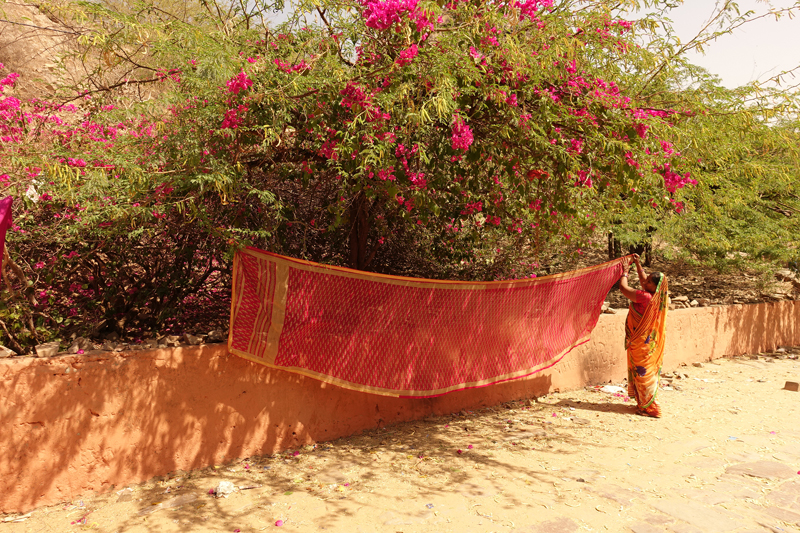 Mon voyage à Jaipur en Inde Temples de Galta Temples des Singes