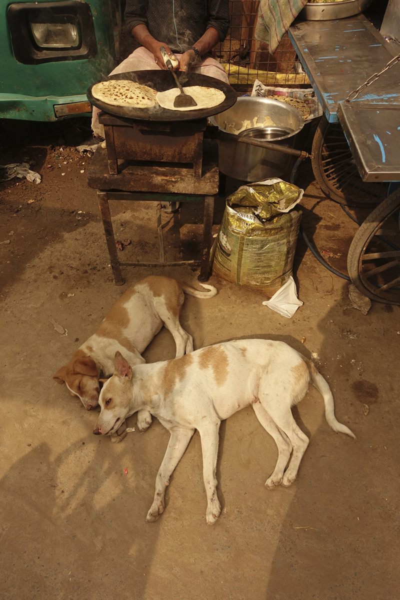 Mon voyage à Delhi en Inde