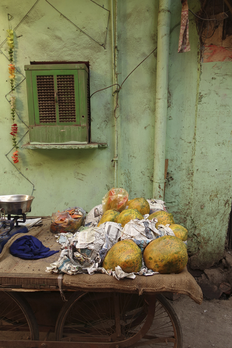 Mon voyage à Delhi en Inde