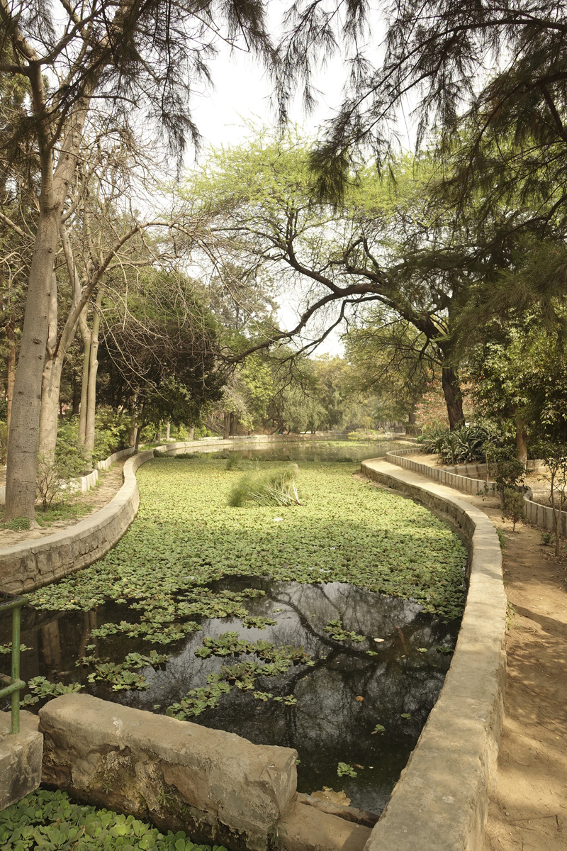 Mon voyage à Delhi en Inde Lodi Garden