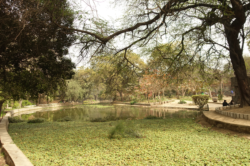 Mon voyage à Delhi en Inde Lodi Garden