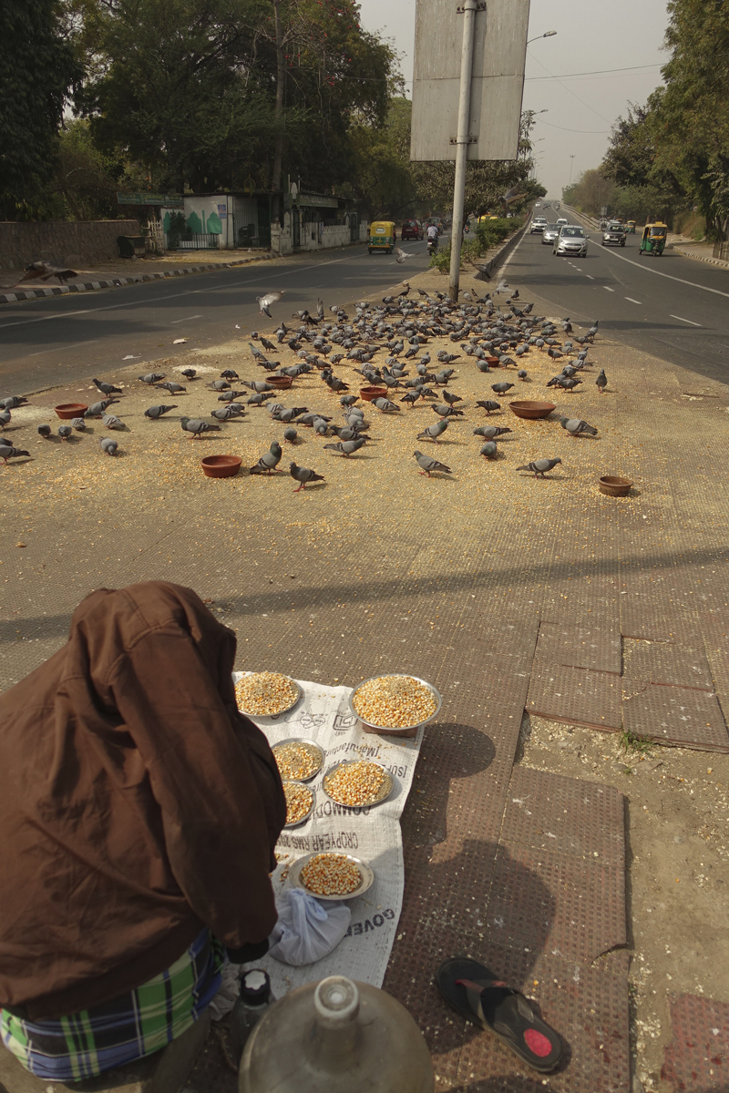 Mon voyage à Delhi en Inde Lodi Garden