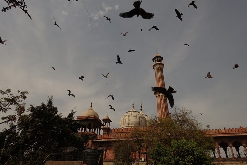 Mon voyage à Delhi en Inde Mosquée Jama Masjid