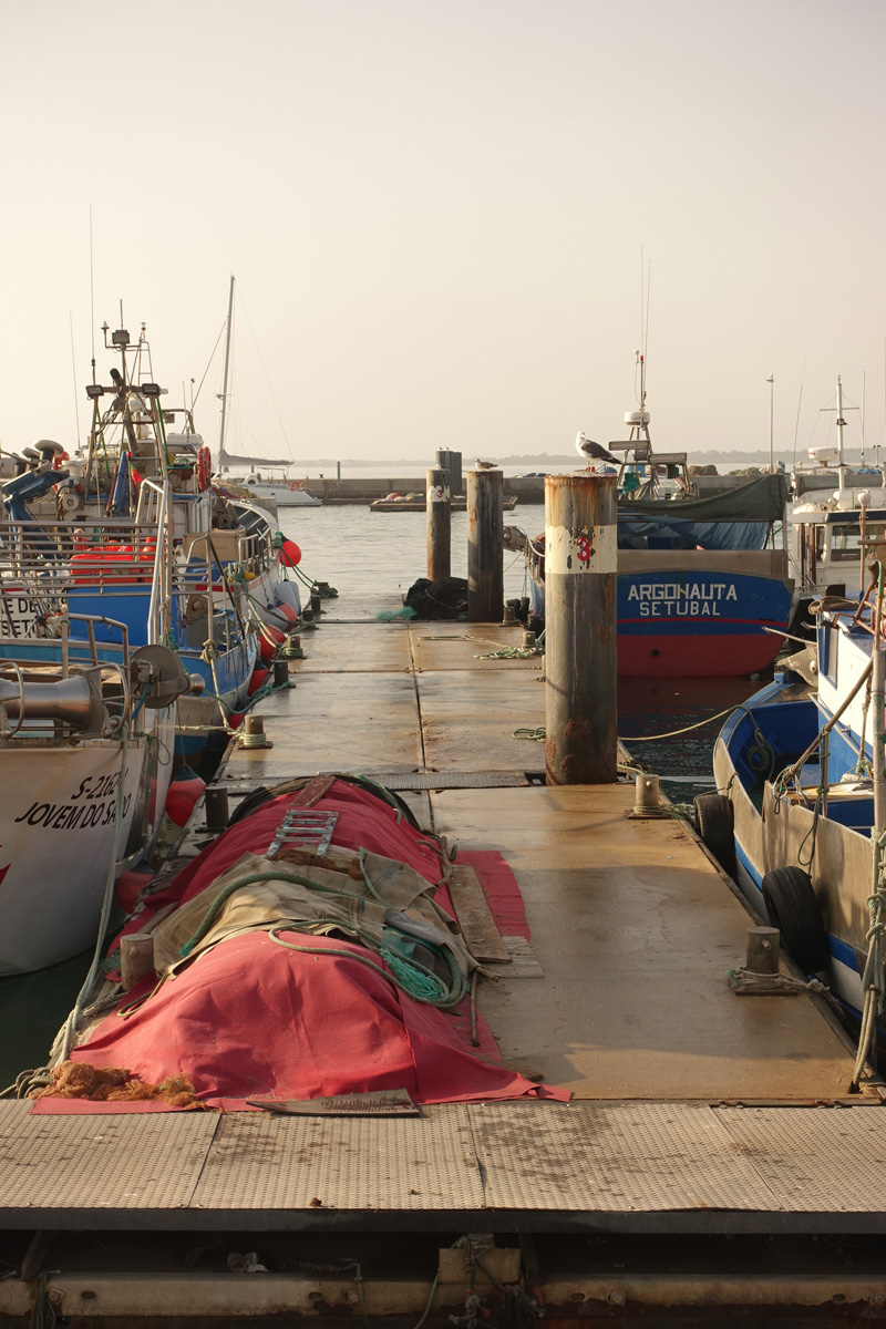 Mon voyage à Setúbal au Portugal