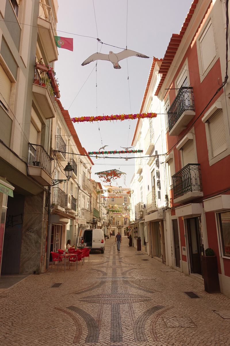 Mon voyage à Setúbal au Portugal