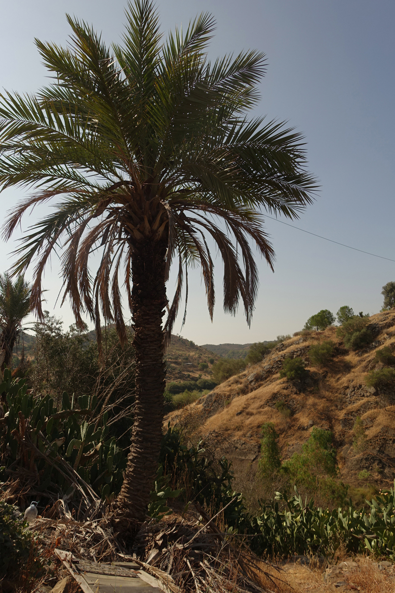 Mon voyage à Mértola au Portugal