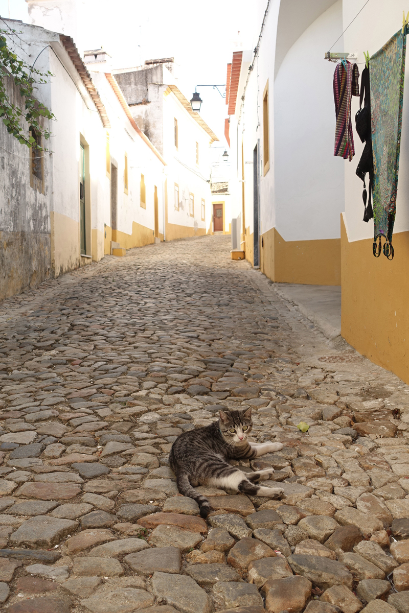 Mon voyage à Évora au Portugal