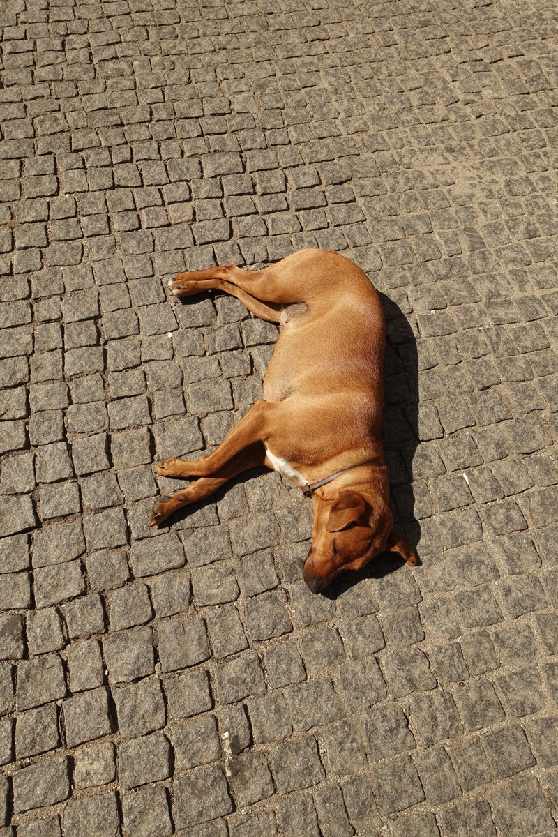 Mon voyage à Évora au Portugal