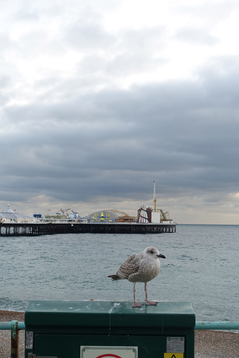 Mon voyage à Brighton en Angleterre