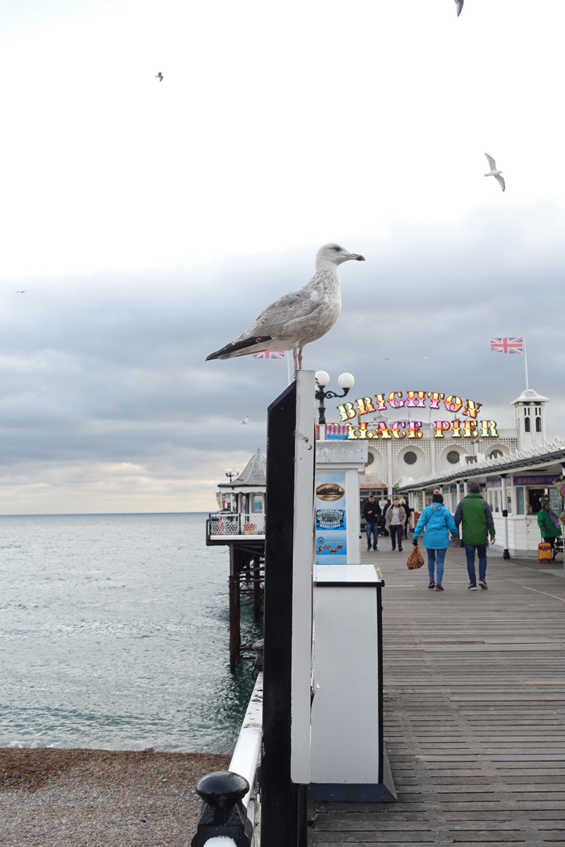 Mon voyage à Brighton en Angleterre