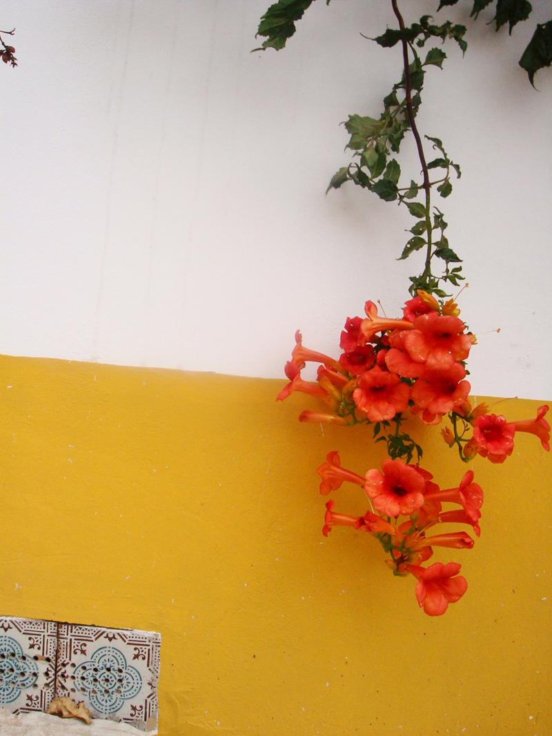 Mon voyage au Portugal Obidos