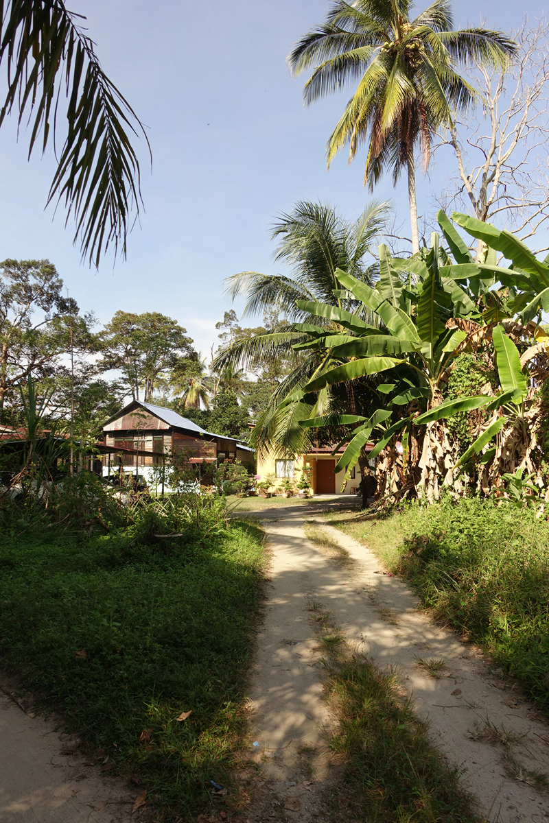 Mon voyage dans la campagne sur l'île de Penang en Malaisie