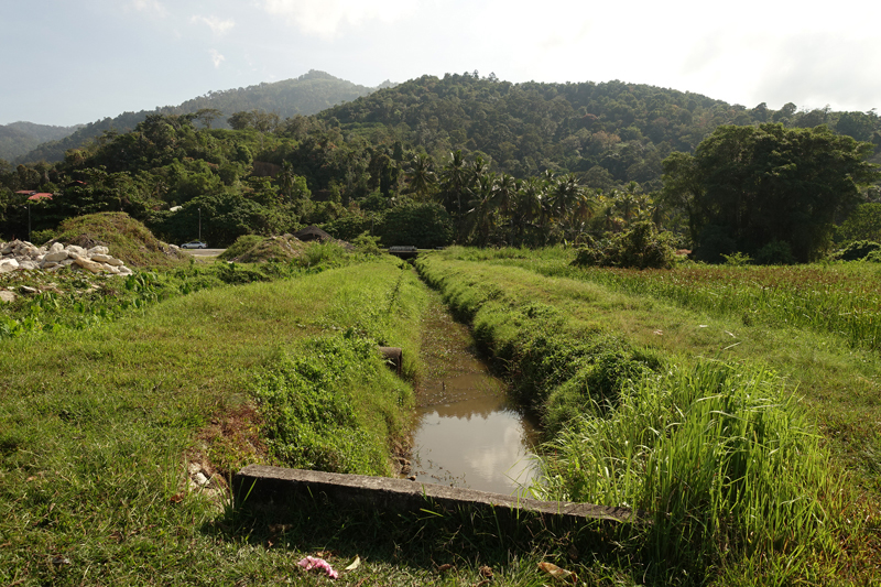 Mon voyage dans la campagne sur l'île de Penang en Malaisie