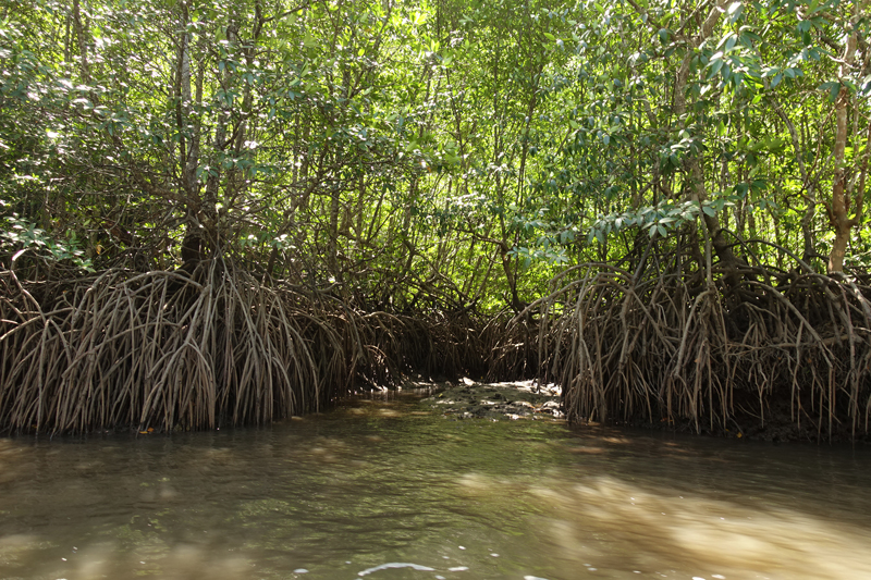 Mon excursion en bateau sur l’île de Langkawi en Malaisie