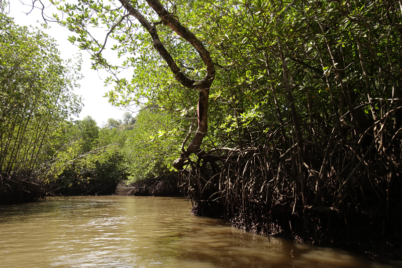 Mon excursion en bateau sur l’île de Langkawi en Malaisie