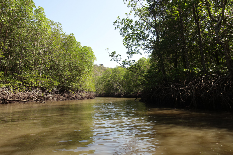 Mon excursion en bateau sur l’île de Langkawi en Malaisie