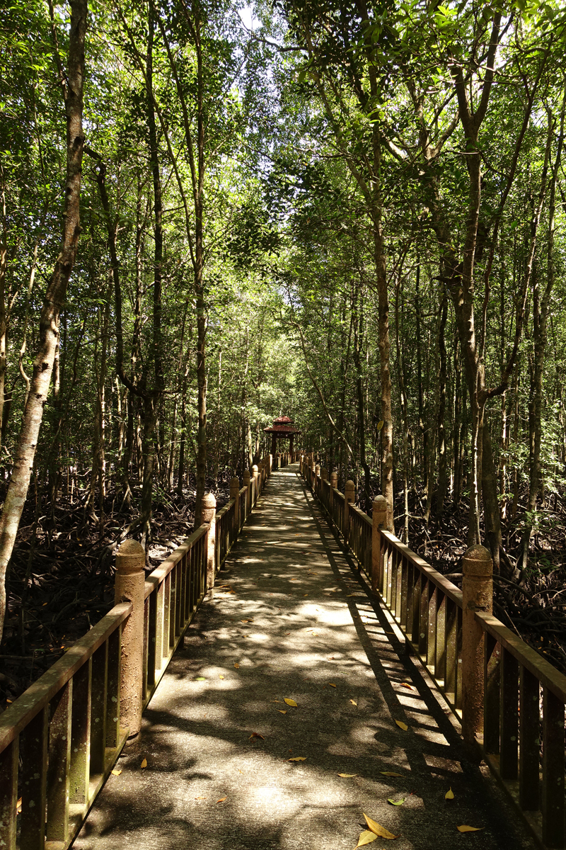 Mon excursion en bateau sur l’île de Langkawi en Malaisie