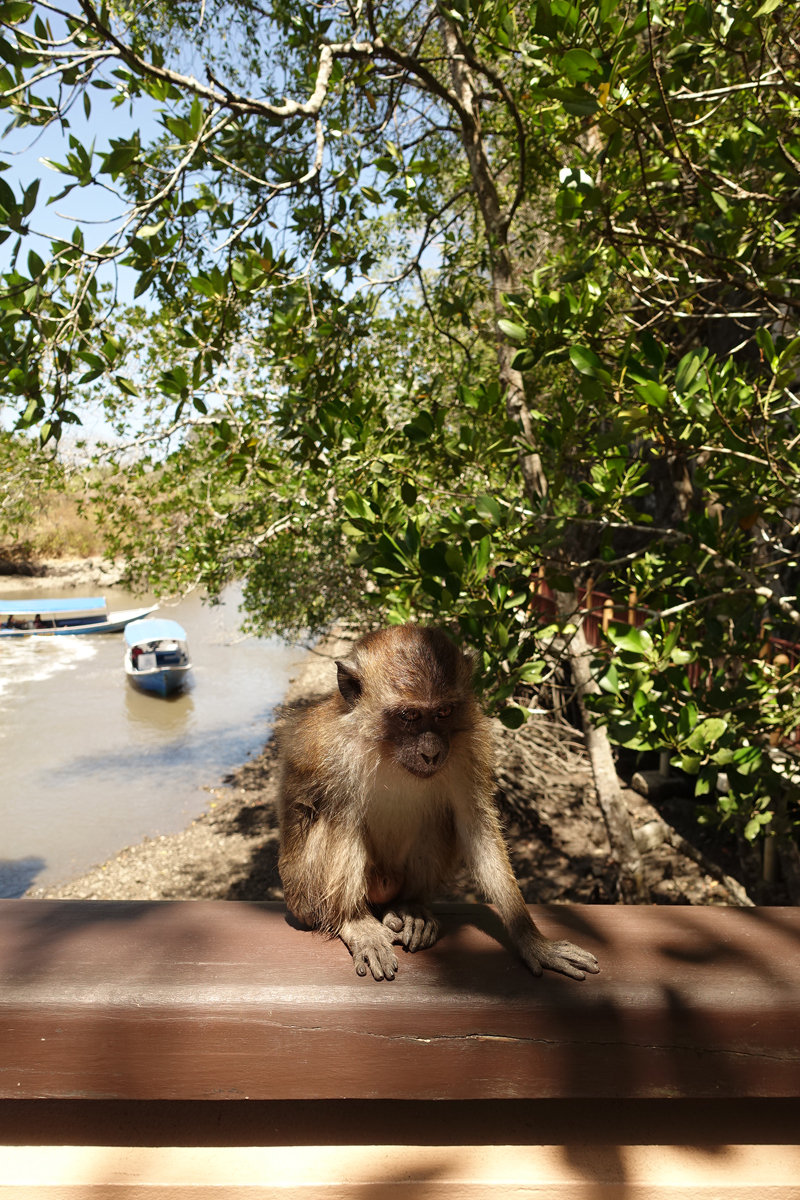 Mon excursion en bateau sur l’île de Langkawi en Malaisie