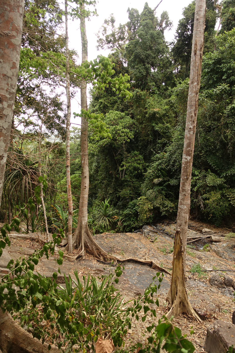 Mon voyage à la Cascade Durian Perrangin sur l’île de Langkawi en Malaisie