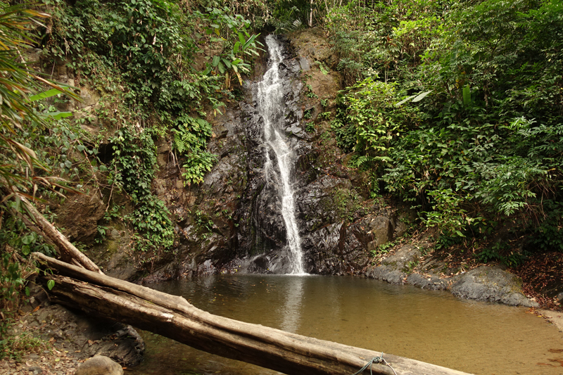 Mon voyage à la Cascade Durian Perrangin sur l’île de Langkawi en Malaisie