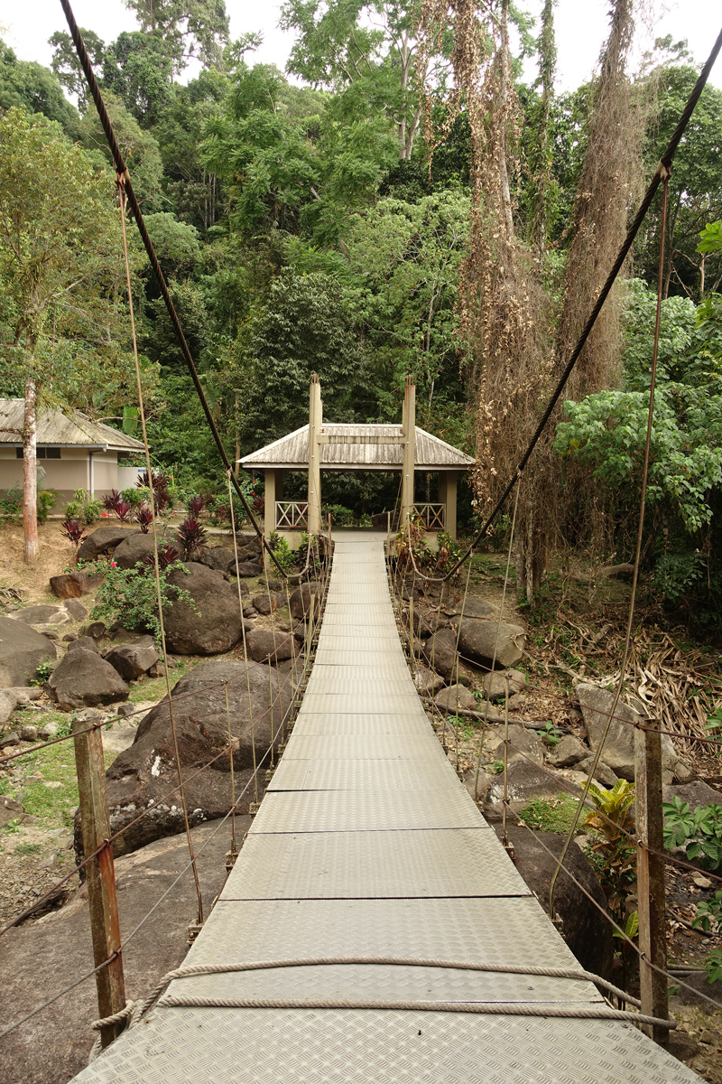 Mon voyage à la Cascade Durian Perrangin sur l’île de Langkawi en Malaisie