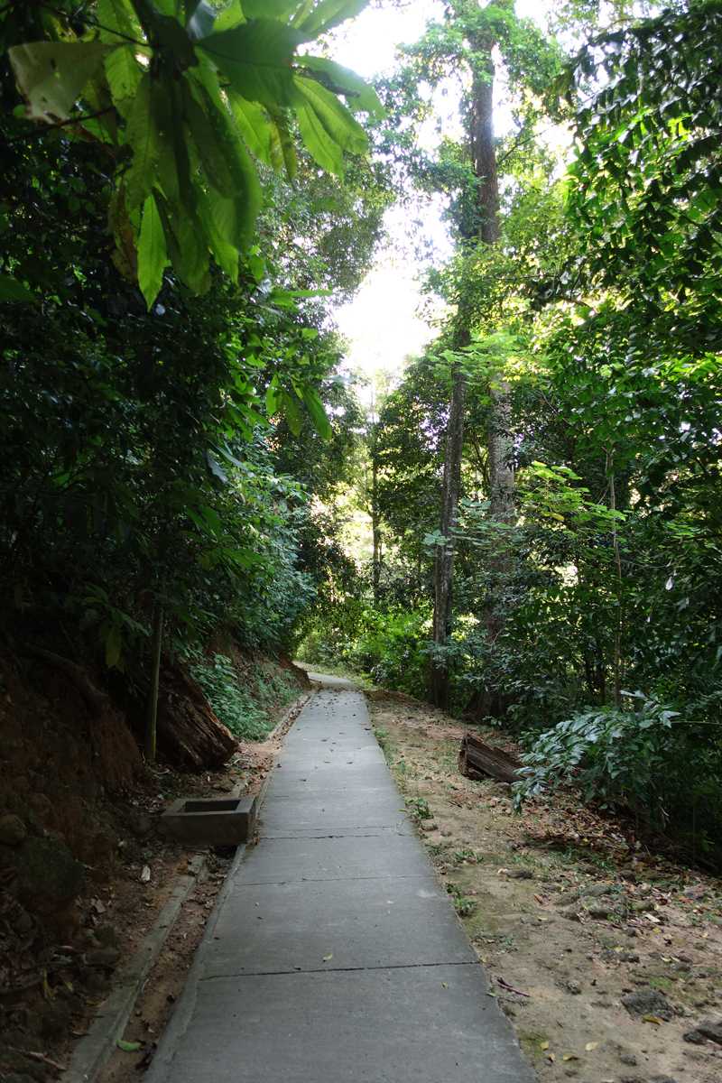 Mon voyage à la Cascade Telaga Tujuh sur l’île de Langkawi en Malaisie