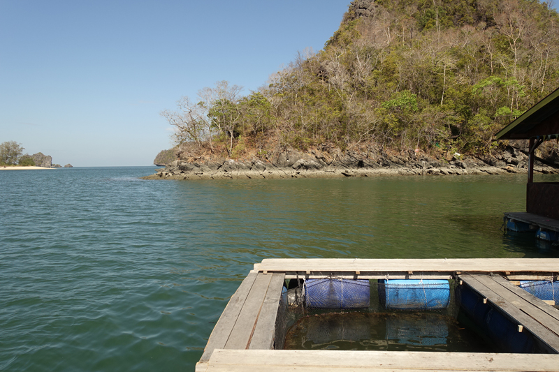 Mon excursion en bateau sur l’île de Langkawi en Malaisie