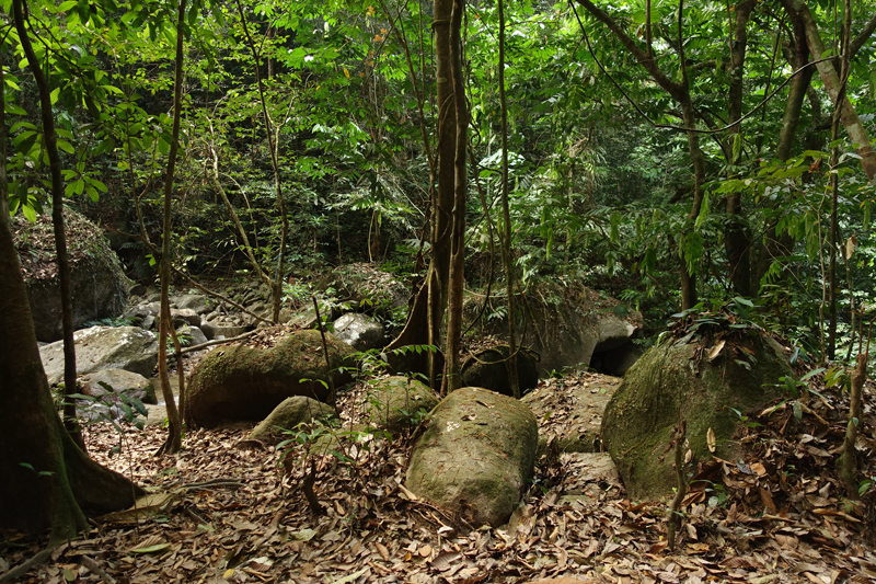 Mon voyage à Seremban en Malaisie