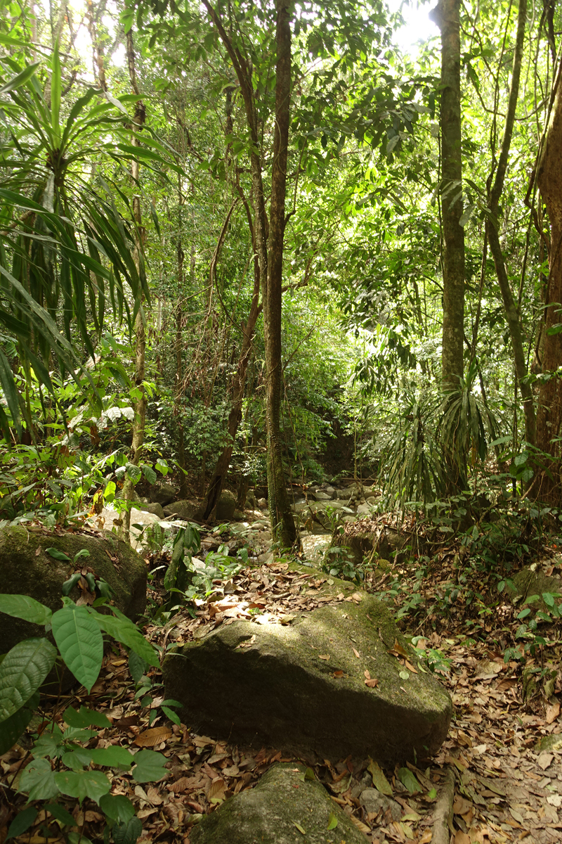 Mon voyage à Seremban en Malaisie