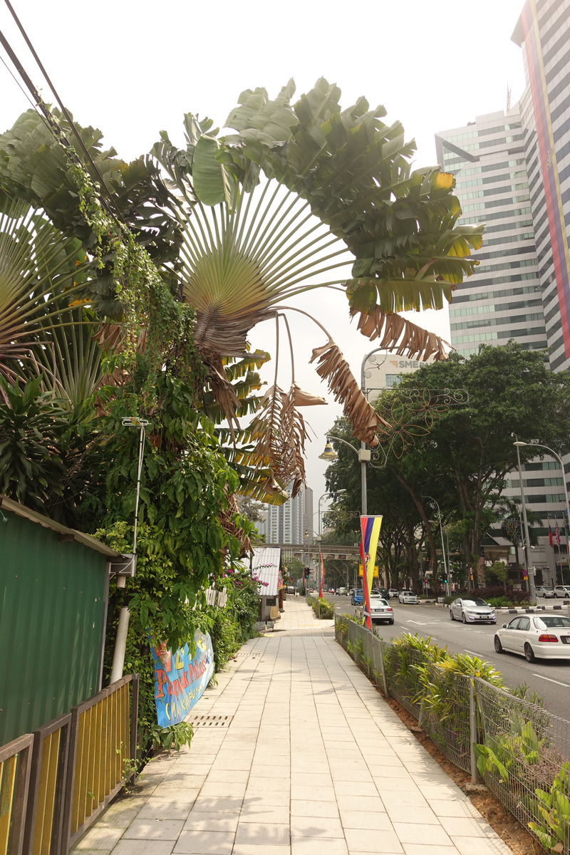 Mon voyage dans le quartier Kampung Baru à Kuala Lumpur en Malaisie